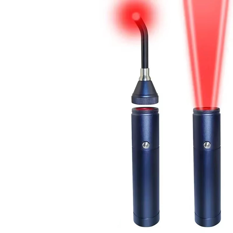 Disinfection Machine Double Head Rechargeable Portable Handheld Wireless Beauty Instrument Mist Sprayer Nano Steam Blue Light