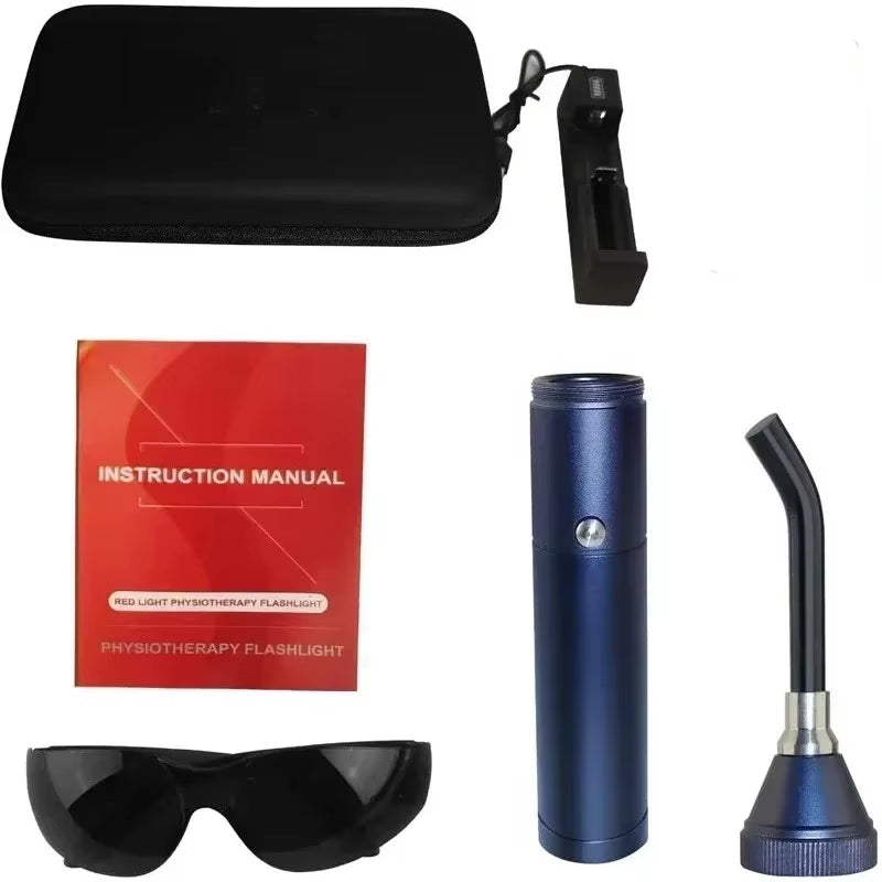 Disinfection Machine Double Head Rechargeable Portable Handheld Wireless Beauty Instrument Mist Sprayer Nano Steam Blue Light